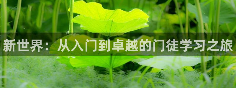 永盈官网网址多少