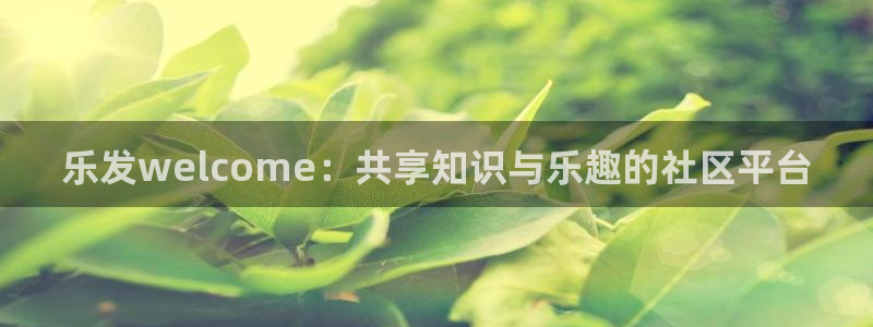 鼎世永盈1号