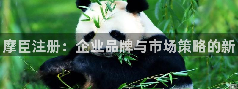 东莞市永盈电子有限公司