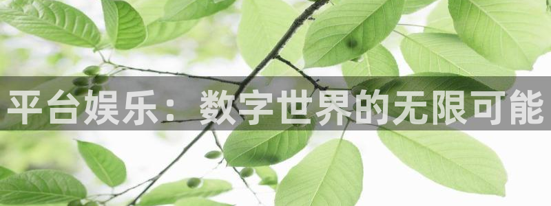 永盈帐户大厅