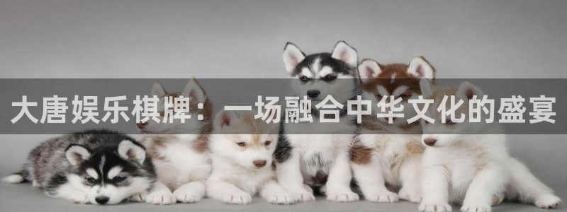 永盈先进制造智选混合c