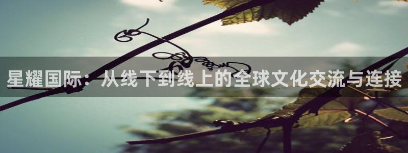 69066永盈官网玩法