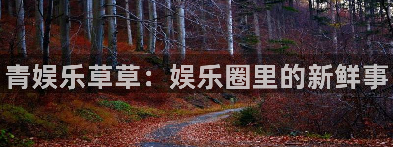 永盈棋