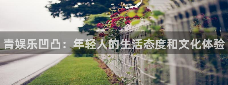 永盈登录官网