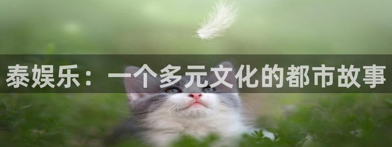永盈平台登录网址