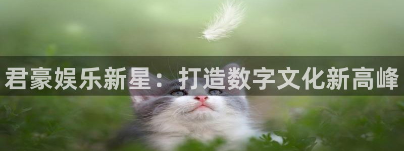 永盈网址