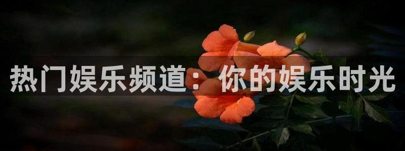 69066永盈