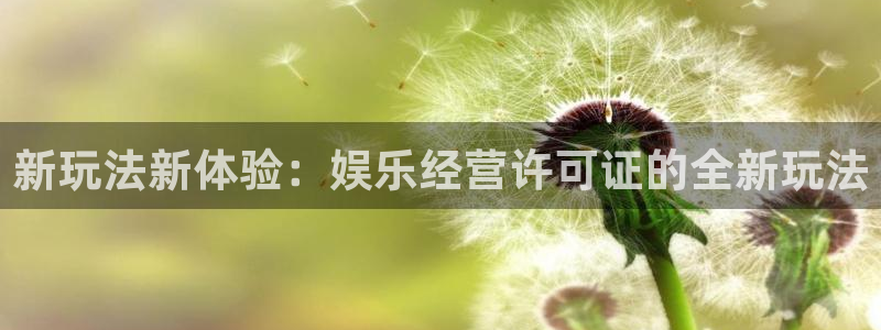 永盈旧版app