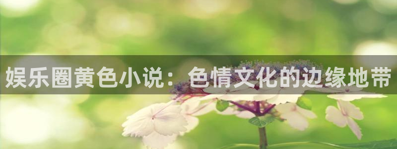永盈官网网址多少：娱乐圈黄色小说：色情文化的边缘地带