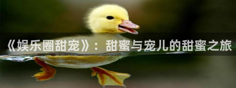 佛山市永盈陶瓷有限公司：《娱乐圈甜宠》：甜蜜与宠儿的甜蜜之旅