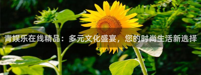 永盈棋牌3622mooc：青娱乐在线精品：多元文化盛宴，您的时尚生活新选择