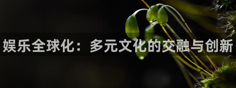 永盈棋牌69066mooc网页版：娱乐全球化：多元文化的交融与创新