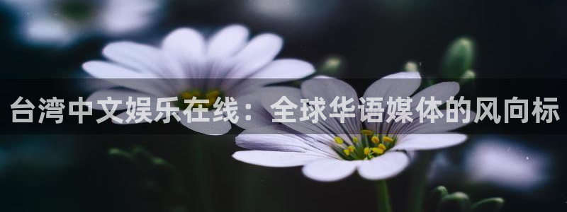 永盈旧版app：台湾中文娱乐在线：全球华语媒体的风向标