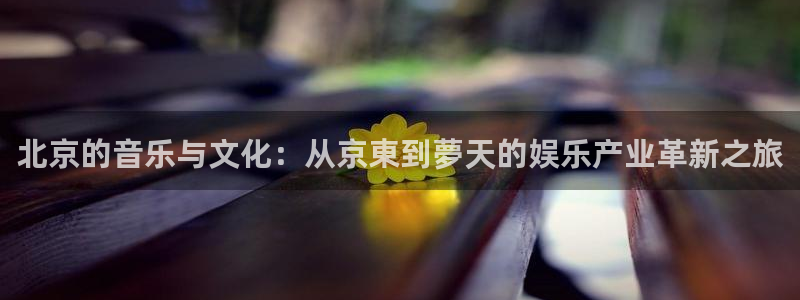 永盈科技：北京的音乐与文化：从京東到夢天的娱乐产业革新之旅