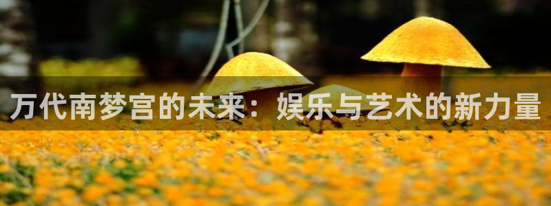永盈最新玩法：万代南梦宫的未来：娱乐与艺术的新力量