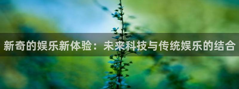 永盈3622网站登录入口：新奇的娱乐新体验：未来科技与传统娱乐的结合