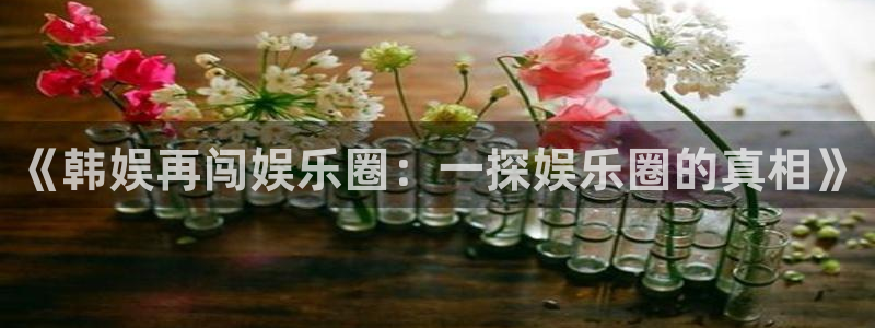 永盈陶瓷有限公司：《韩娱再闯娱乐圈：一探娱乐圈的真相》