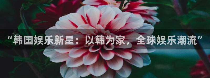 永盈welcome官网：“韩国娱乐新星：以韩为家，全球娱乐潮流”