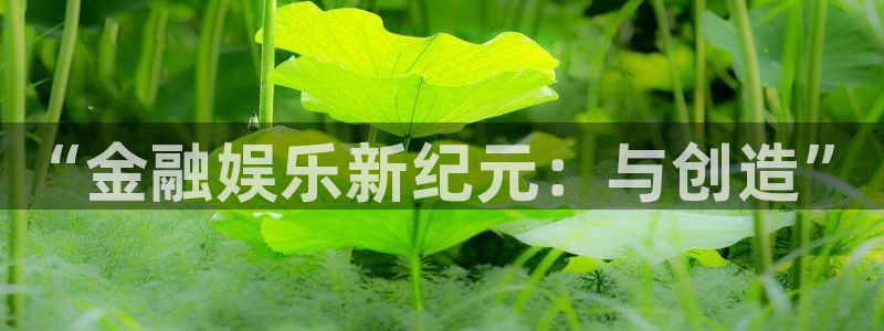 永盈先进制造智选混合c：“金融娱乐新纪元：与创造”