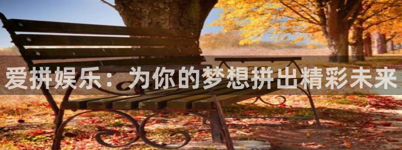 东莞市永盈玩具科技有限公司：爱拼娱乐：为你的梦想拼出精彩未来