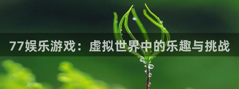 江苏永盈环卫服务有限公司：77娱乐游戏：虚拟世界中的乐趣与挑战