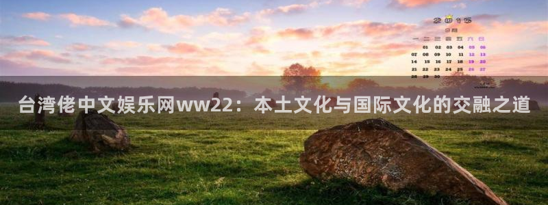 永盈旧版app：台湾佬中文娱乐网ww22：本土文化与国际文化的交融之道