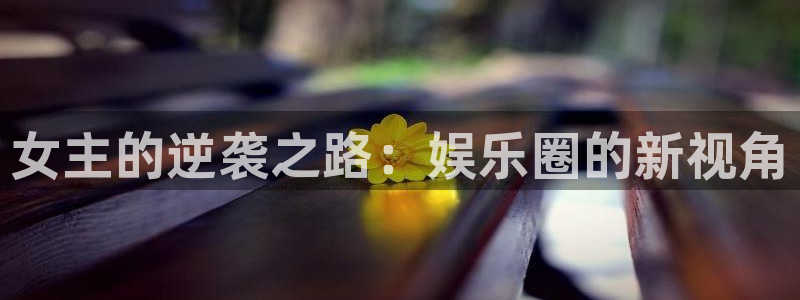 永盈陶瓷有限公司：女主的逆袭之路：娱乐圈的新视角