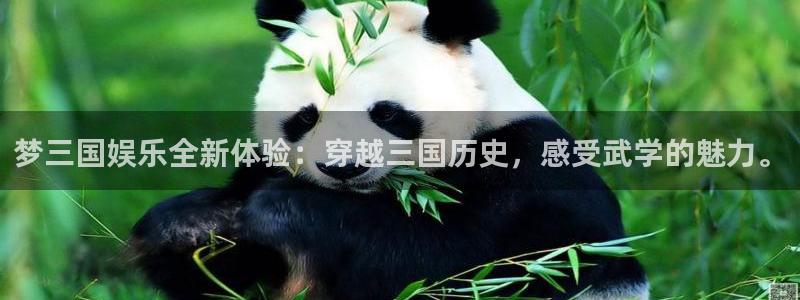 东莞市永盈电子有限公司：梦三国娱乐全新体验：穿越三国历史，感受武学的魅力。