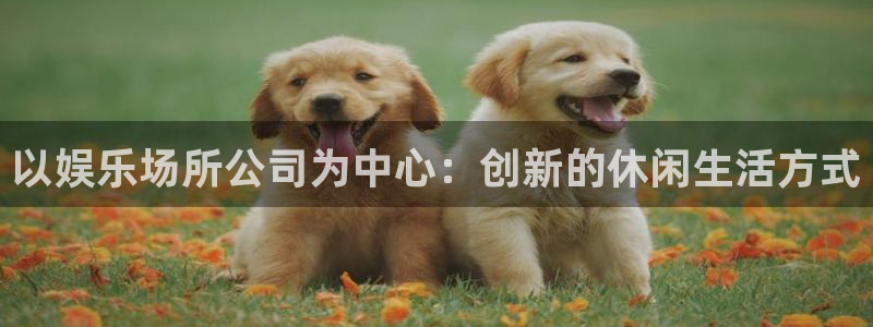 南充永盈：以娱乐场所公司为中心：创新的休闲生活方式