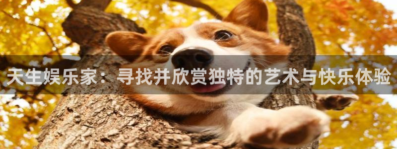佛山永盈陶瓷有限公司：天生娱乐家：寻找并欣赏独特的艺术与快乐体验