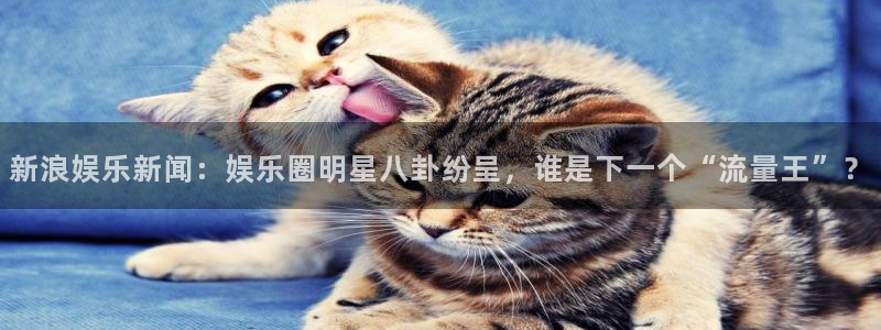 永盈平台登录网址：新浪娱乐新闻：娱乐圈明星八卦纷呈，谁是下一个“流量王”？